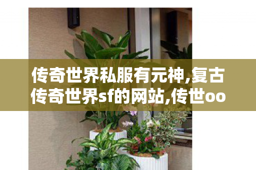 传奇世界私服有元神,复古传奇世界sf的网站,传世oool,复古传奇世界sf的网站