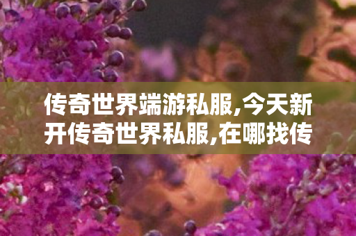 传奇世界端游私服,今天新开传奇世界私服,在哪找传奇私服,今天新开传奇世界私服