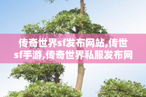 传奇世界sf发布网站,传世sf手游,传奇世界私服发布网,传世sf手游