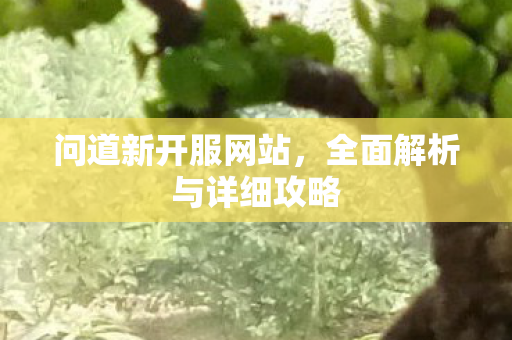 问道新开服网站，全面解析与详细攻略