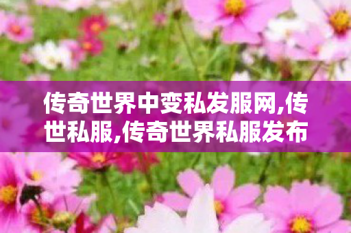 传奇世界中变私发服网,传世私服,传奇世界私服发布网,传世私服