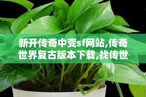 新开传奇中变sf网站,传奇世界复古版本下载,找传世sf,传奇世界复古版本下载