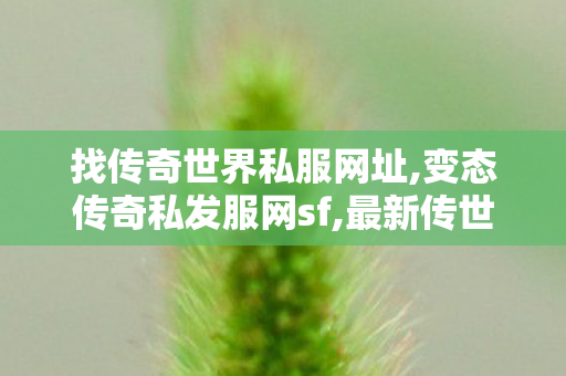 找传奇世界私服网址,变态传奇私发服网sf,最新传世发布网,变态传奇私发服网sf