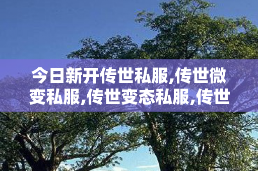 今日新开传世私服,传世微变私服,传世变态私服,传世微变私服