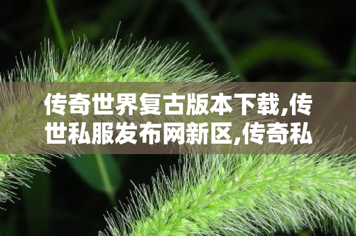 传奇世界复古版本下载,传世私服发布网新区,传奇私 服网站,传世私服发布网新区