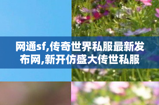 网通sf,传奇世界私服最新发布网,新开仿盛大传世私服,传奇世界私服最新发布网