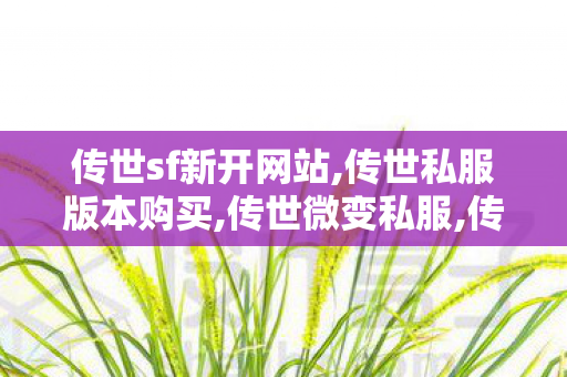 传世sf新开网站,传世私服版本购买,传世微变私服,传世私服版本购买