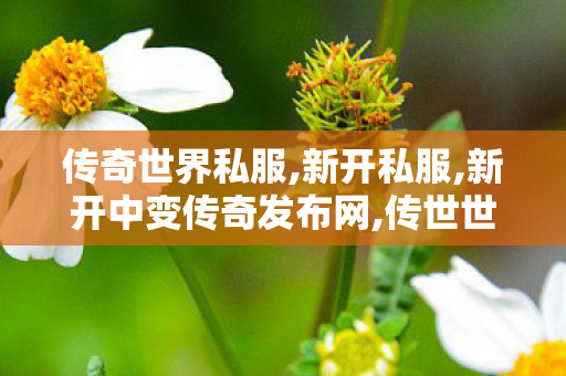 传奇世界私服,新开私服,新开中变传奇发布网,传世世界sf,新开中变传奇发布网