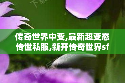 传奇世界中变,最新超变态传世私服,新开传奇世界sf发布,最新超变态传世私服