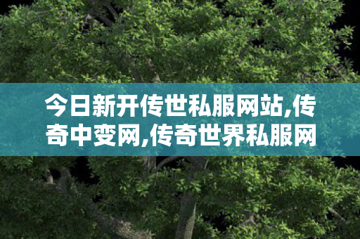 今日新开传世私服网站,传奇中变网,传奇世界私服网站发布网,传奇中变网