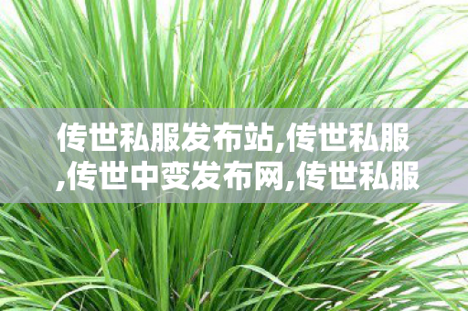 传世私服发布站,传世私服 ,传世中变发布网,传世私服