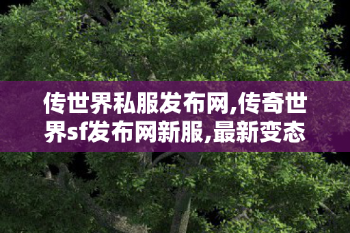 传世界私服发布网,传奇世界sf发布网新服,最新变态传世私服,传奇世界sf发布网新服