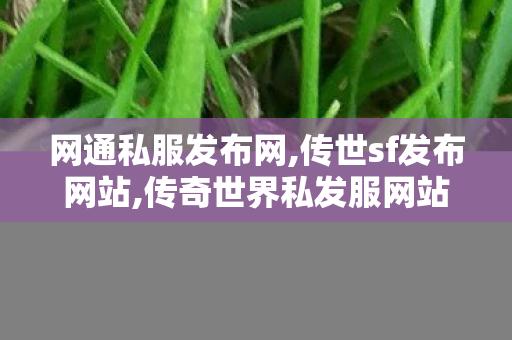 网通私服发布网,传世sf发布网站,传奇世界私发服网站,传世sf发布网站