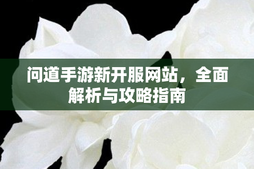 问道手游新开服网站，全面解析与攻略指南