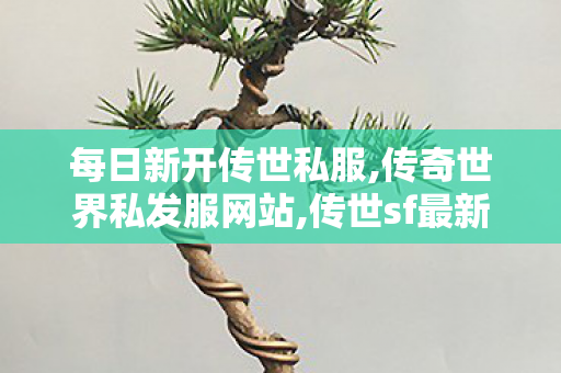 每日新开传世私服,传奇世界私发服网站,传世sf最新sf发布网,传奇世界私发服网站