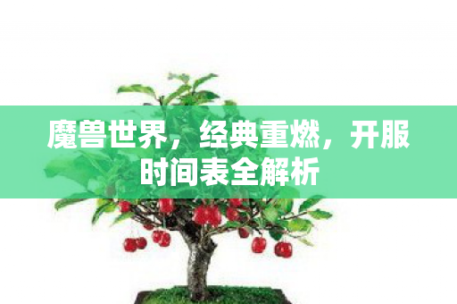 魔兽世界，经典重燃，开服时间表全解析
