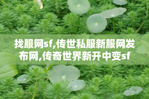 找服网sf,传世私服新服网发布网,传奇世界新开中变sf,传世私服新服网发布网