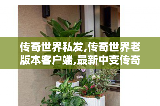 传奇世界私发,传奇世界老版本客户端,最新中变传奇网站,传奇世界老版本客户端