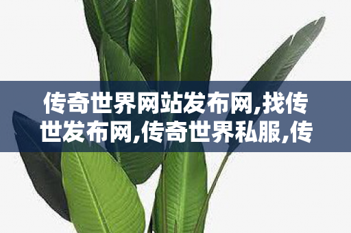 传奇世界网站发布网,找传世发布网,传奇世界私服,传世最新私服,找传世发布网