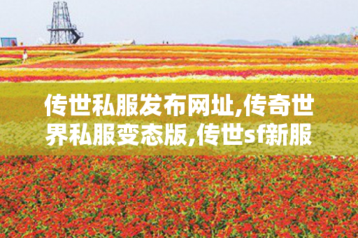 传世私服发布网址,传奇世界私服变态版,传世sf新服网发布网,传奇世界私服变态版