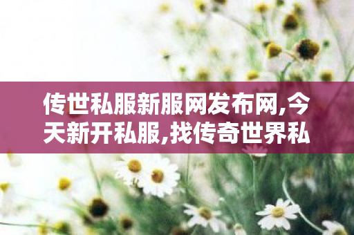 传世私服新服网发布网,今天新开私服,找传奇世界私服,今天新开私服