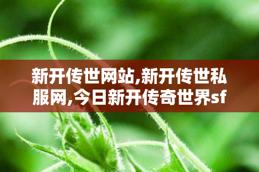 新开传世网站,新开传世私服网,今日新开传奇世界sf,新开传世私服网