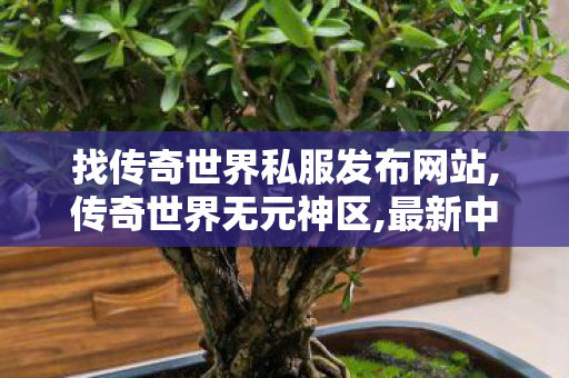 找传奇世界私服发布网站,传奇世界无元神区,最新中变传奇网站,传奇世界无元神区