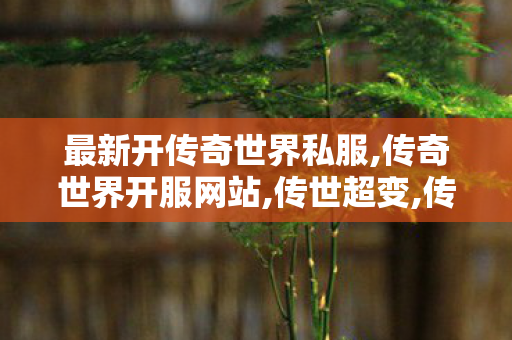 最新开传奇世界私服,传奇世界开服网站,传世超变,传奇世界开服网站