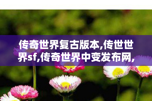 传奇世界复古版本,传世世界sf,传奇世界中变发布网,传世世界sf