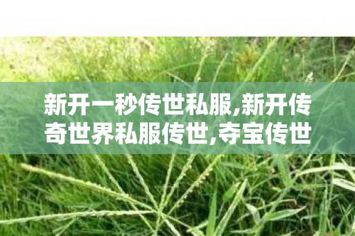 新开一秒传世私服,新开传奇世界私服传世,夺宝传世私服发布网,新开传奇世界私服传世