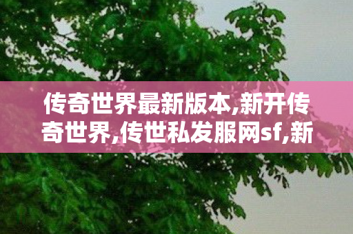 传奇世界最新版本,新开传奇世界,传世私发服网sf,新开传奇世界