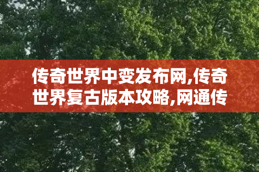 传奇世界中变发布网,传奇世界复古版本攻略,网通传世私服,传奇世界复古版本攻略