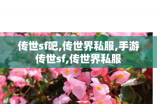 传世sf吧,传世界私服,手游传世sf,传世界私服