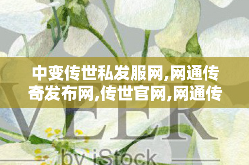 中变传世私发服网,网通传奇发布网,传世官网,网通传奇发布网