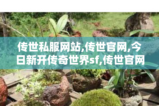 传世私服网站,传世官网,今日新开传奇世界sf,传世官网