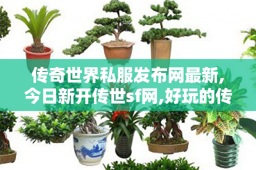 传奇世界私服发布网最新,今日新开传世sf网,好玩的传奇私服推荐,今日新开传世sf网