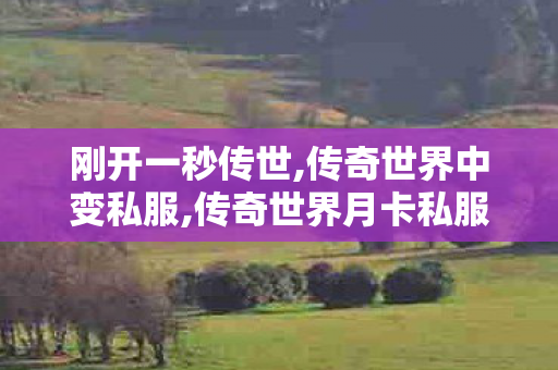 刚开一秒传世,传奇世界中变私服,传奇世界月卡私服,传奇世界中变私服
