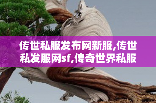 传世私服发布网新服,传世私发服网sf,传奇世界私服网址,传世私发服网sf