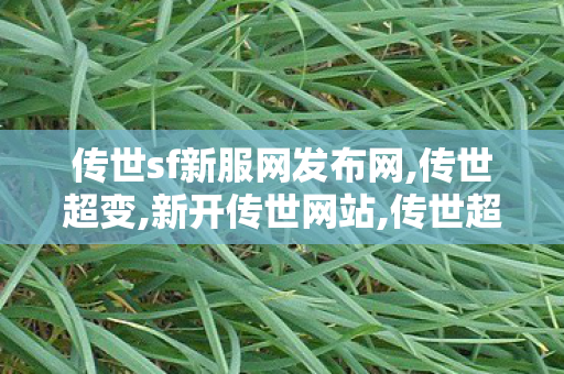 传世sf新服网发布网,传世超变,新开传世网站,传世超变