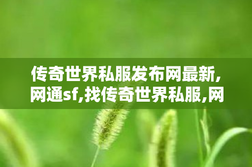 传奇世界私服发布网最新,网通sf,找传奇世界私服,网通sf