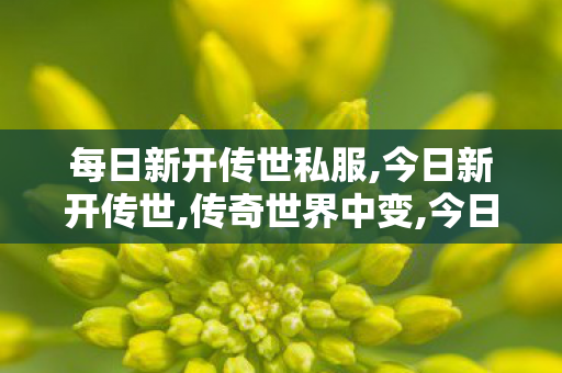每日新开传世私服,今日新开传世,传奇世界中变,今日新开传世