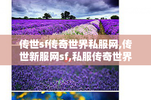 传世sf传奇世界私服网,传世新服网sf,私服传奇世界,传世新服网sf