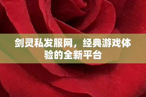 剑灵私发服网，经典游戏体验的全新平台