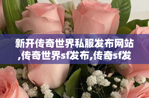 新开传奇世界私服发布网站,传奇世界sf发布,传奇sf发布,传奇世界sf发布