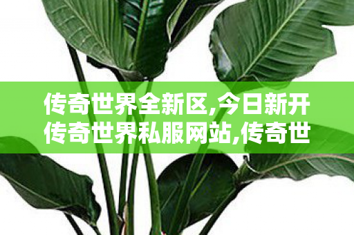 传奇世界全新区,今日新开传奇世界私服网站,传奇世界哪个版本好玩,今日新开传奇世界私服网站