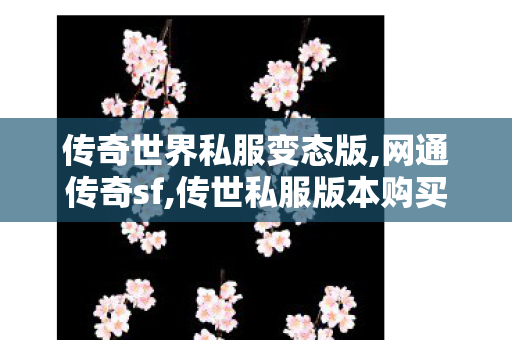 传奇世界私服变态版,网通传奇sf,传世私服版本购买,网通传奇sf