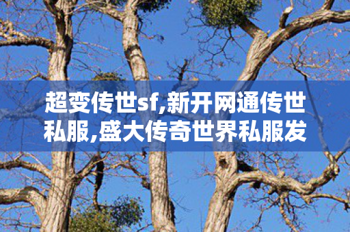 超变传世sf,新开网通传世私服,盛大传奇世界私服发布网,新开网通传世私服