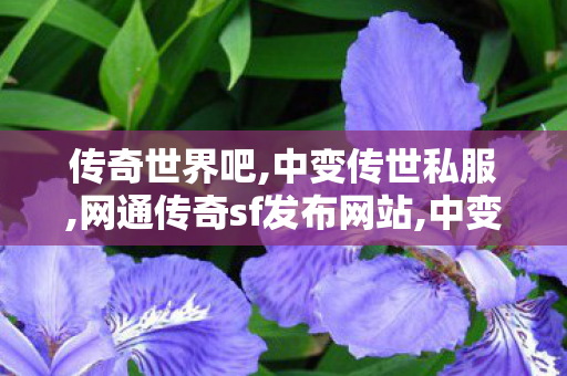 传奇世界吧,中变传世私服,网通传奇sf发布网站,中变传世私服