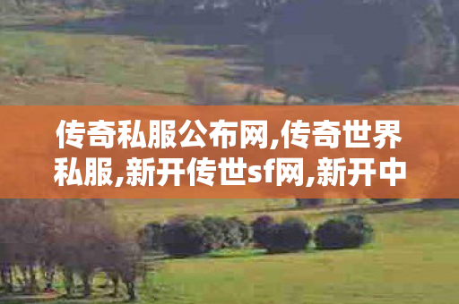 传奇私服公布网,传奇世界私服,新开传世sf网,新开中变sf网站,传奇世界私服,新开传世sf网