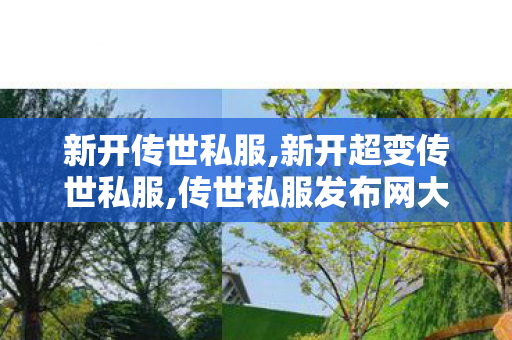 新开传世私服,新开超变传世私服,传世私服发布网大全,新开超变传世私服